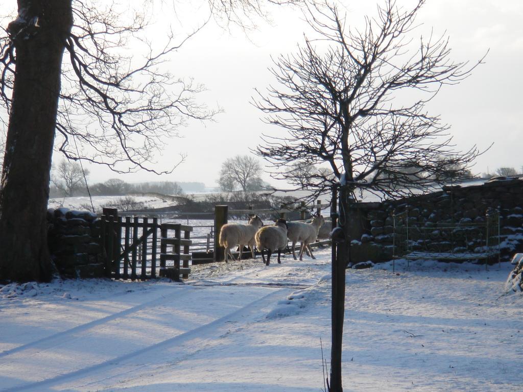 Littlebank Country House Settle Exterior photo